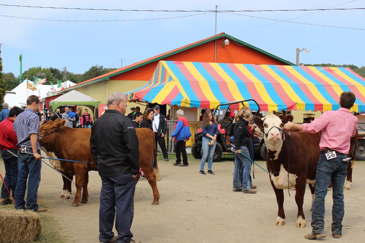 Exposition de Richmond 2017