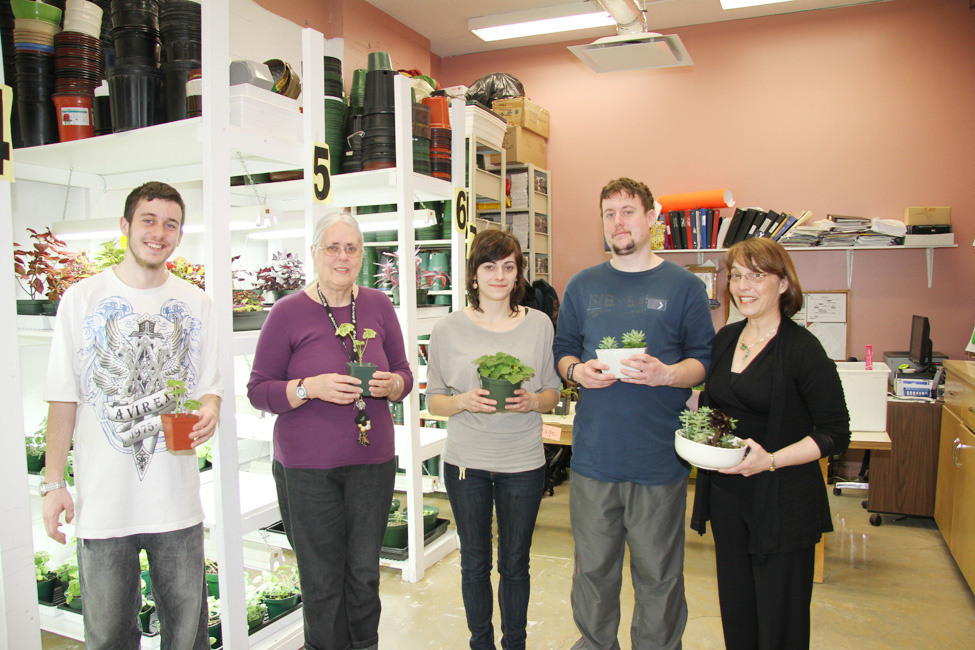 Jardi-Serre