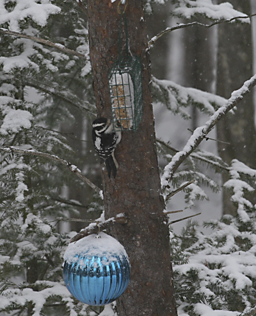 L'hiver s'annonce