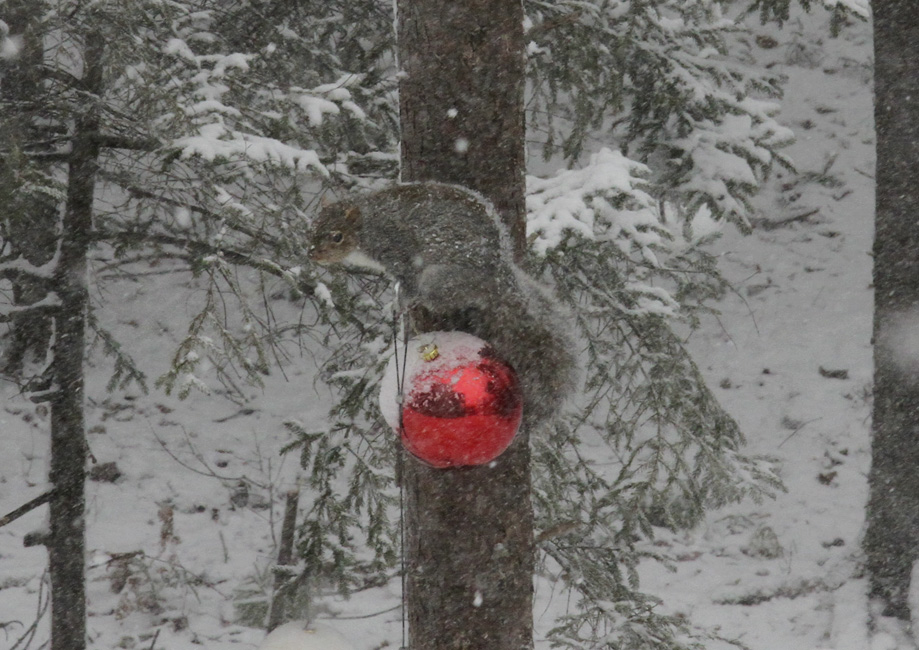 L'hiver s'annonce