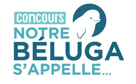 Trouver un nom à un béluga