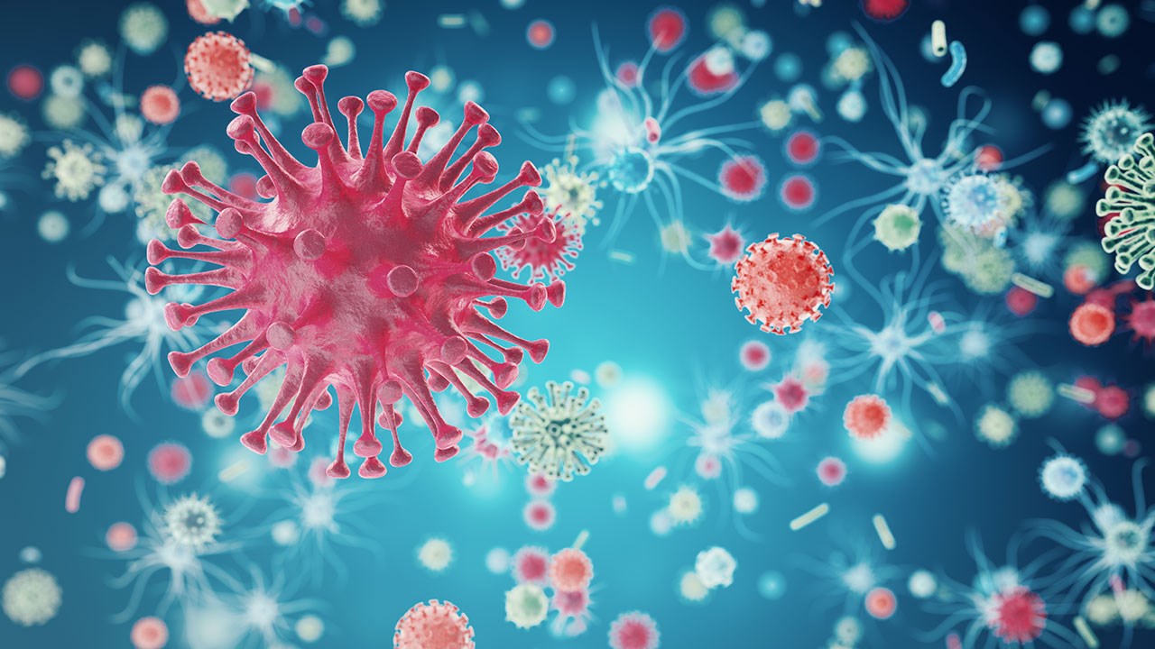 À Rimouski, les mouchoirs utilisés sont à exclure du bac brun