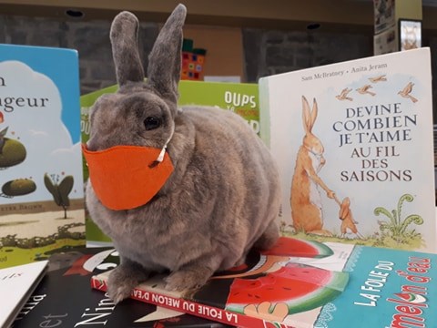 Les usagers de la bibliothèque Françoise-Bédard bientôt dans les rayons