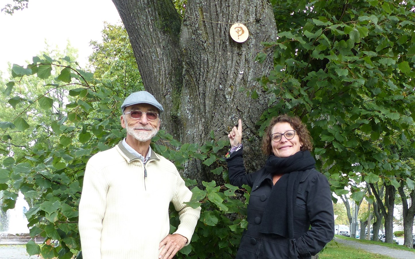 Arbre, qui es-tu? un circuit plein air pour découvrir le Vieux Rivière-du-Loup