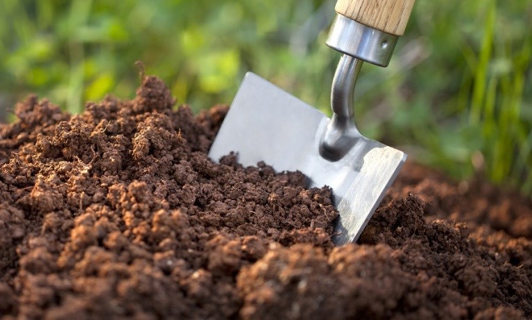 La distribution gratuite de compost commence ce mardi à Rimouski