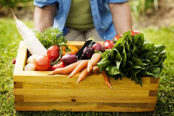 Le jardin communautaire et la permaculture