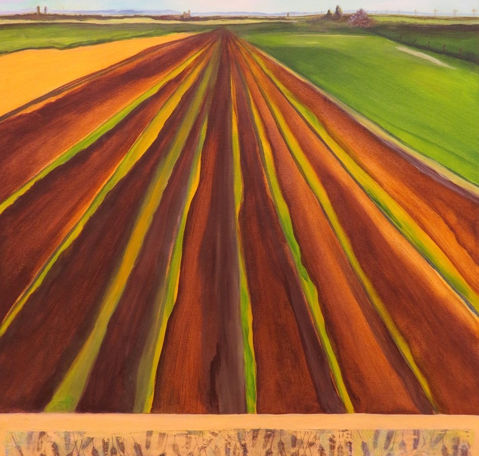 Un peu de culture dans l'agriculture!