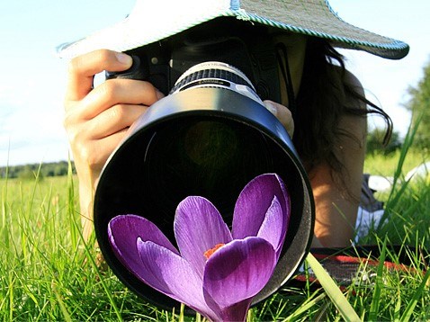 Des photographes en herbe s’inspirent de L’Île-Perrot