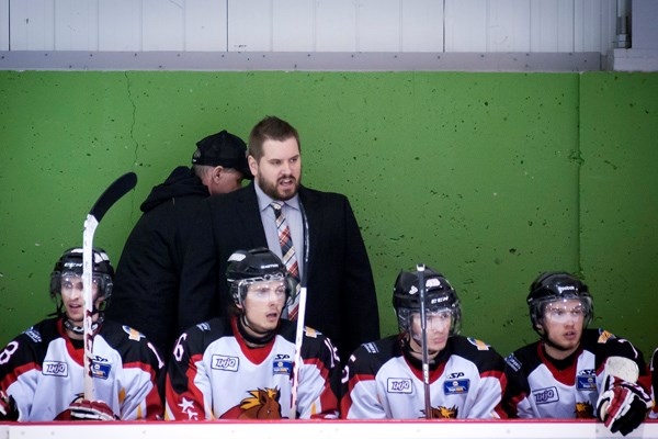 Les Mustangs toujours en vie