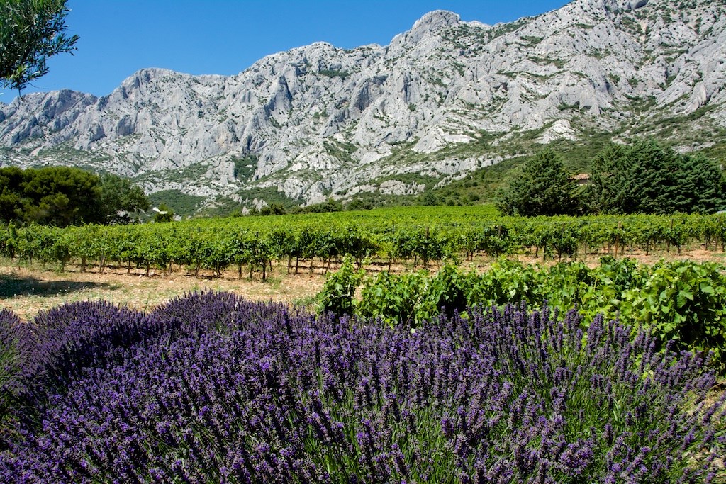 « Provence, une palette de couleurs »