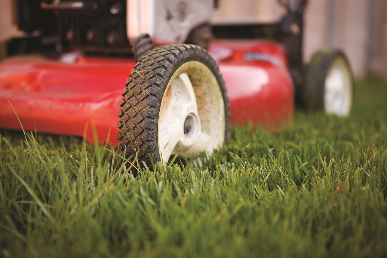 Outils indispensables pour le nettoyage de printemps