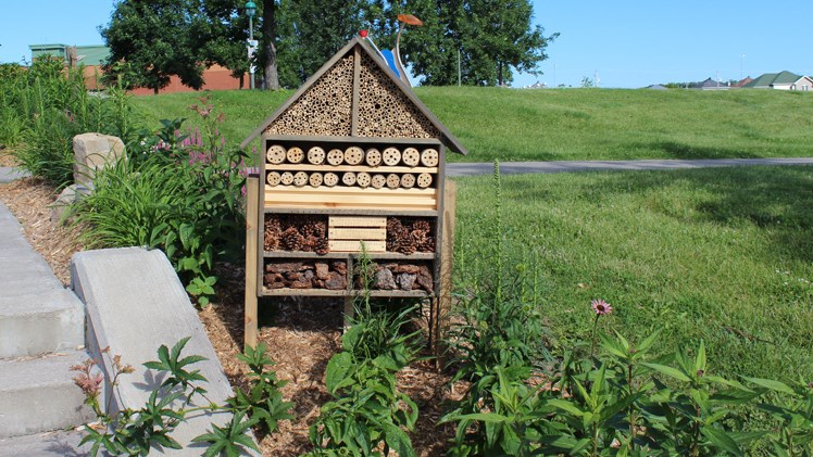 Au parc de la Canardière, les résidants pourront découvrir le tout premier hôtel à insectes sur le territoire.