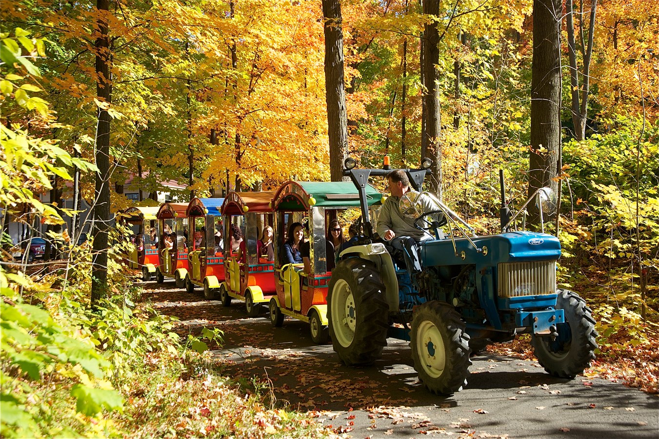 Nouveau site Internet pour le Festival des couleurs de Rigaud
