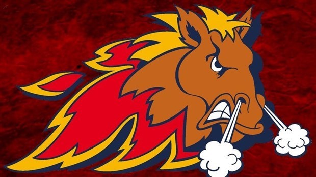 Un deuxième gain en match préparatoire pour Les Mustangs de Vaudreuil-Dorion
