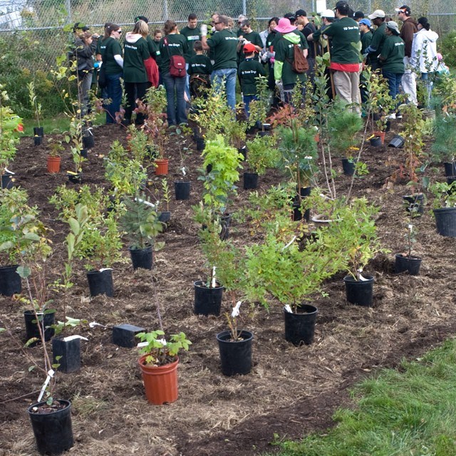 Journée des arbres TD dans Vaudreuil-Dorion