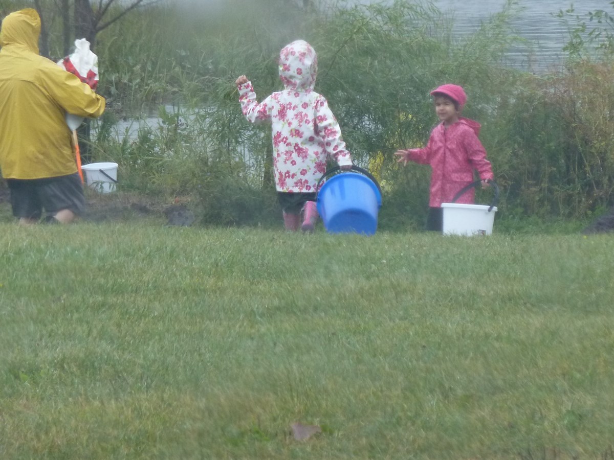 La journée des arbres TD, mission accomplie malgré la pluie!
