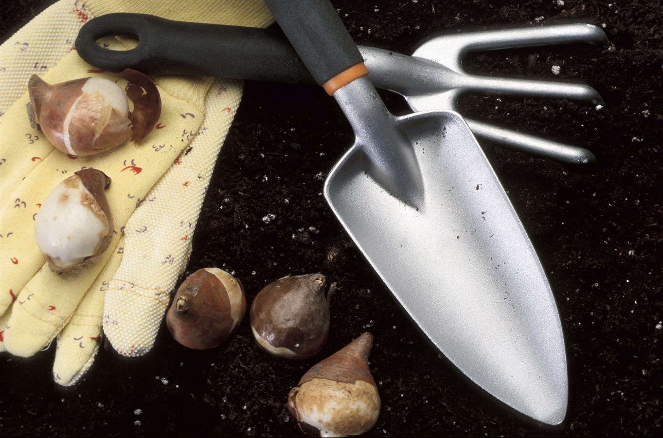 Jardin communautaire : inscriptions jusqu’au 6 novembre