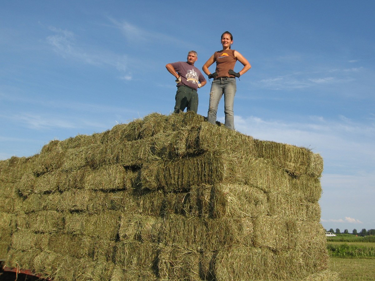 Les agriculteurs manifesteront au bureau de la députée Charlebois