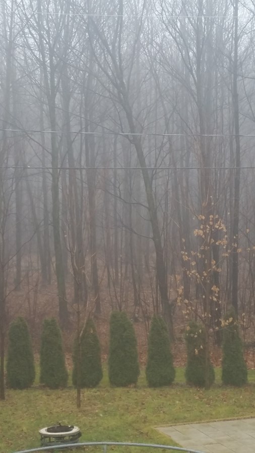 Joyeuses Fêtes malgré un Noël gris dans Vaudreuil-Soulanges!