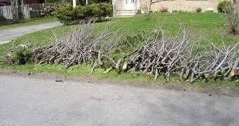 Changement à l'horaire pour la collecte spéciale de branches à Saint-Zotique