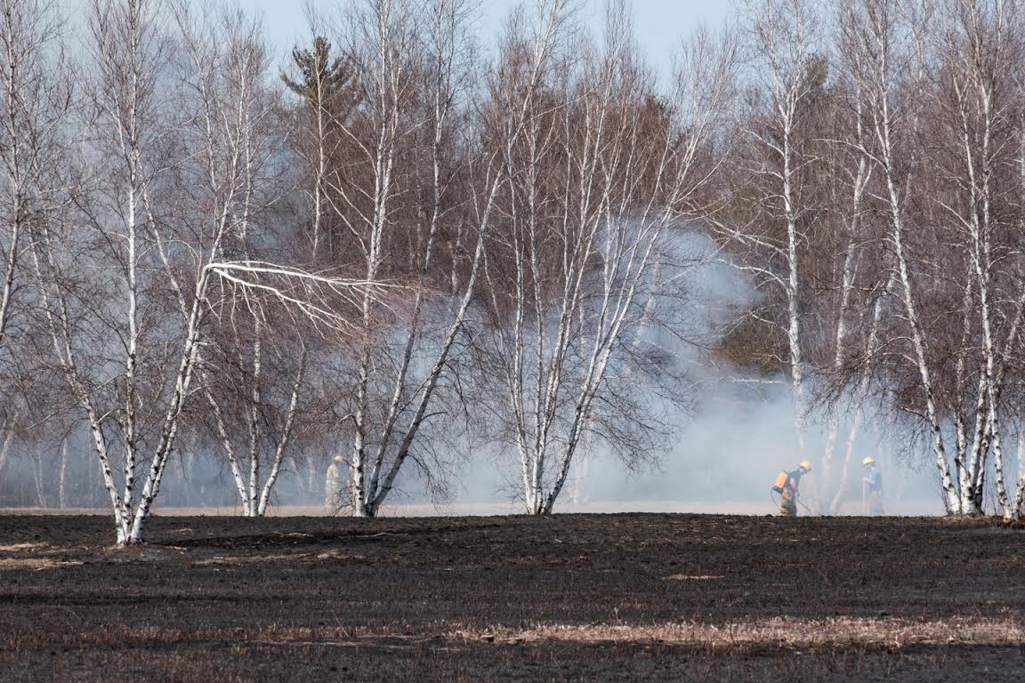 Incendie d'un champ à Hudson