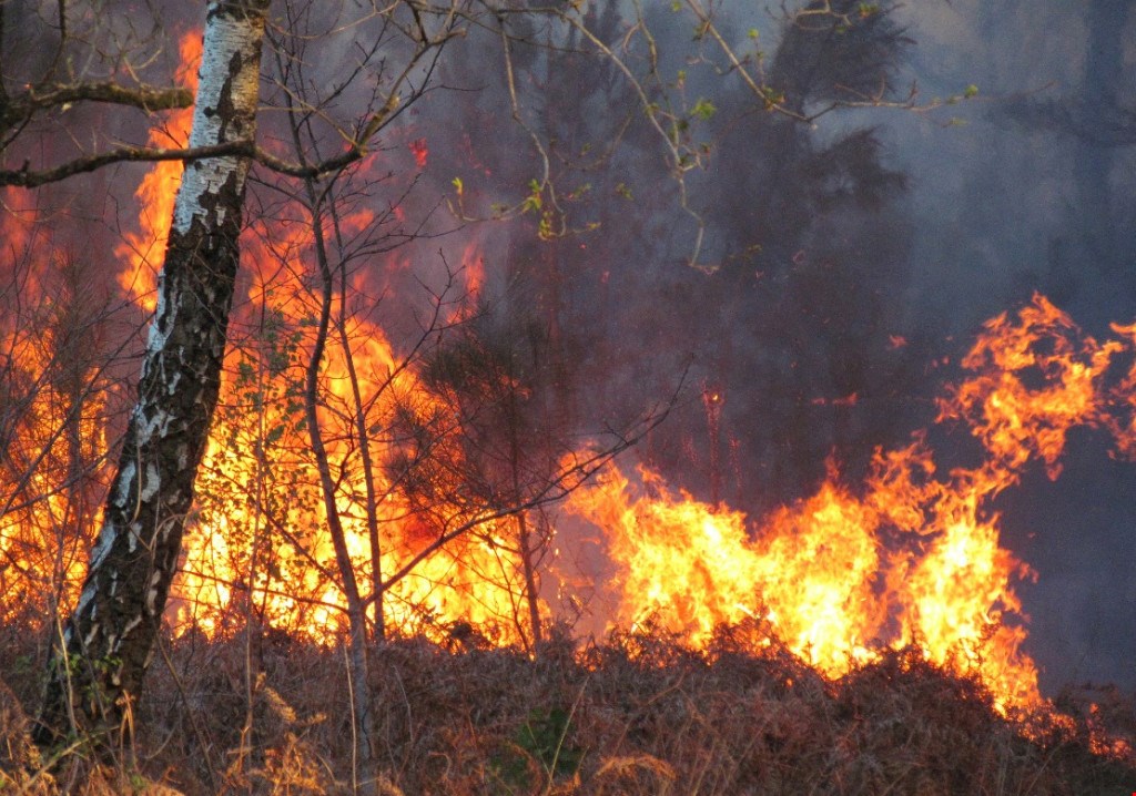 Des risques élevés de feux de forêt pour la Montérégie