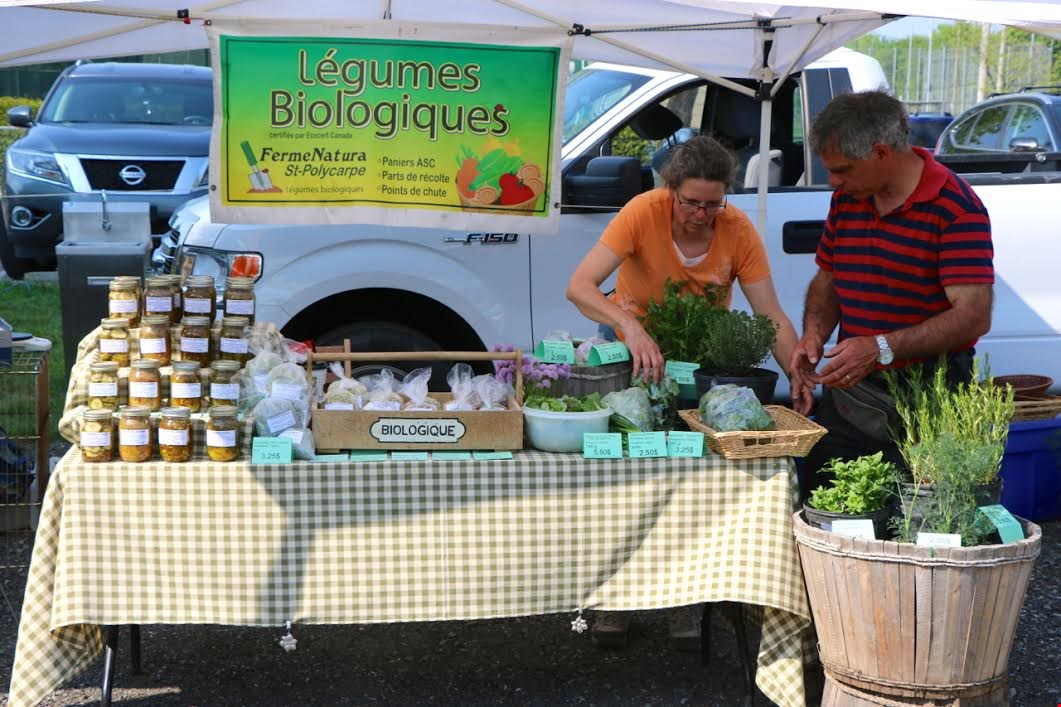 Journée de l’arbre et ouverture officielle du marché public à Saint-Lazare