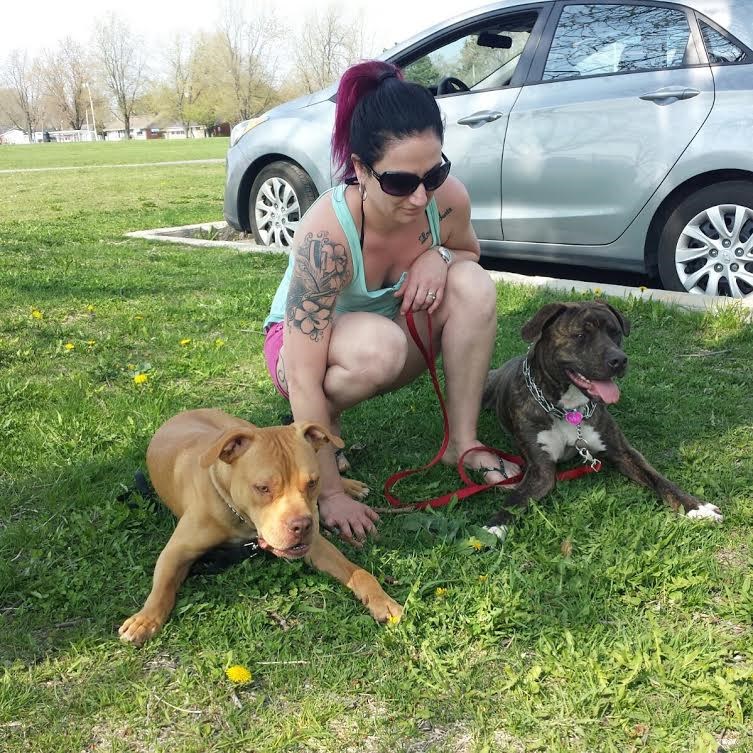 Une marche pour s'opposer à la législation spécifique des races de chiens