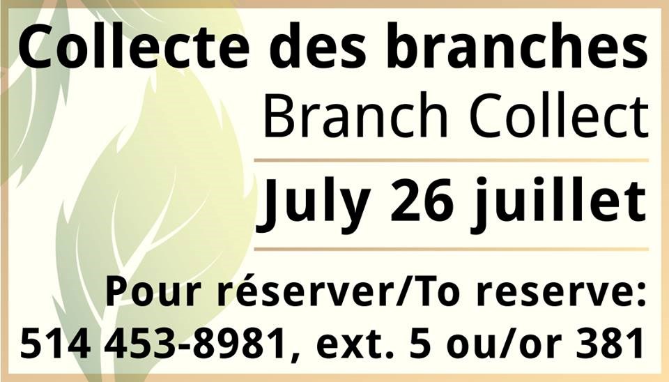Ramassage de branches à Pincourt