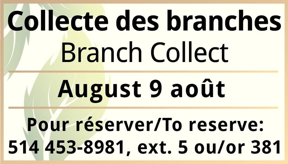 Collecte de branches à Pincourt