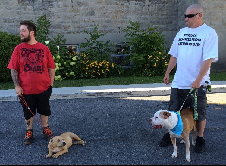 Une vingtaine de participants à la marche pour s'opposer à la législation spécifique des races de chiens