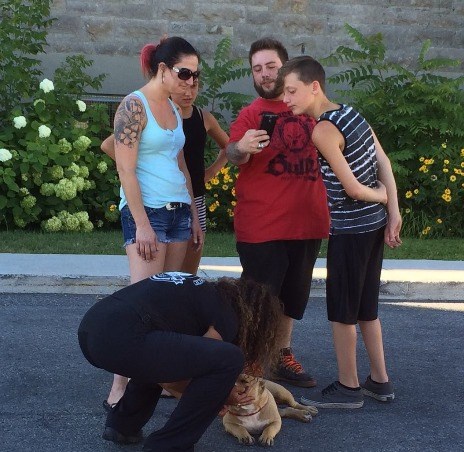Une vingtaine de participants à la marche pour s'opposer à la législation spécifique des races de chiens