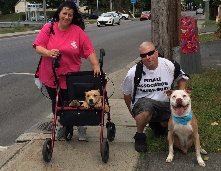 Une vingtaine de participants à la marche pour s'opposer à la législation spécifique des races de chiens