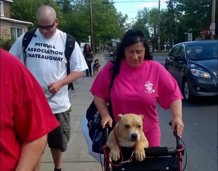 Une vingtaine de participants à la marche pour s'opposer à la législation spécifique des races de chiens 