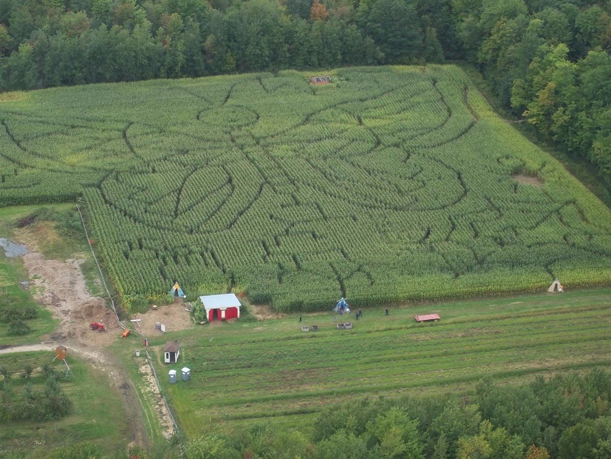 Trois labyrinthes géants au Verger Labonté 
