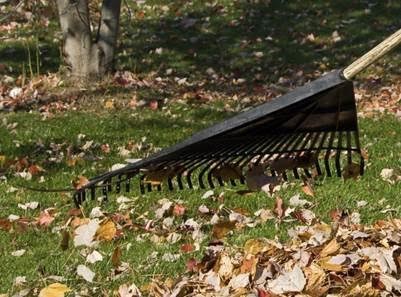 Retour aux collectes de résidus verts régulières à l’automne à Saint-Lazare
