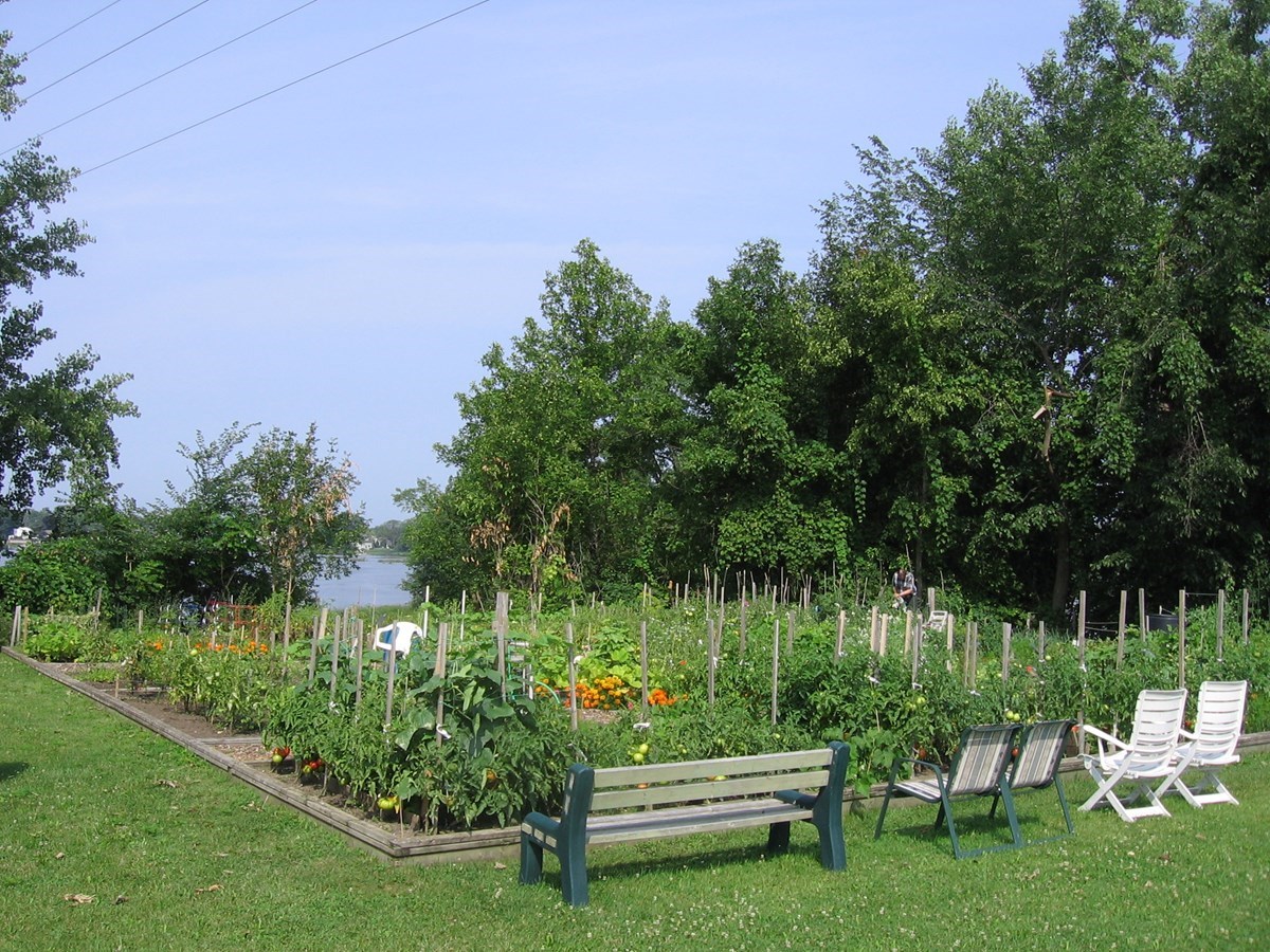 Jardin communautaire : inscriptions jusqu’au 13 octobre