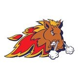 Défaite des Mustangs et des Braves