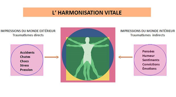 Au nom de la santé ; l'optimisme, ça s'apprend !
