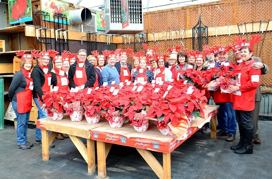 Plus de 2 200 poinsettias ont déjà été réservés au profit de la FMSPVS
