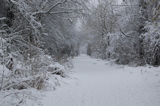 Devenir coureur des bois pour une nuit