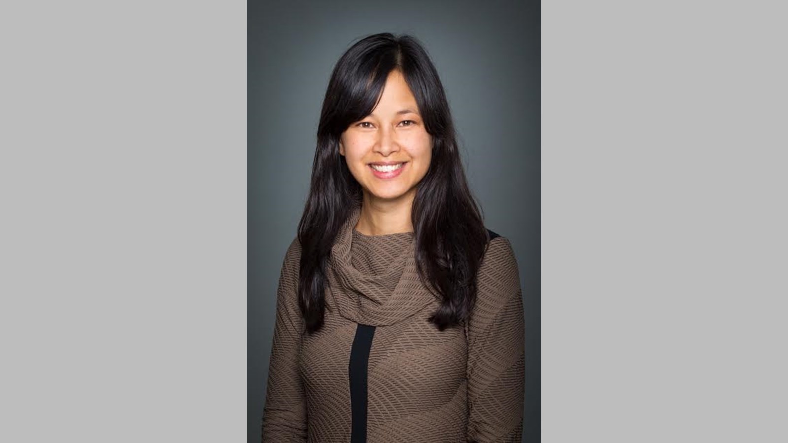 "Où est le plan libéral?"- Anne Quach
