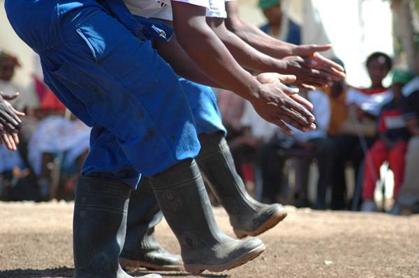 Le Club des explorateurs propose la découverte du Gumboots