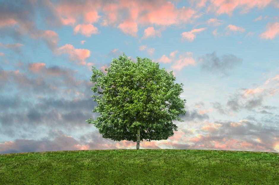 Soirée de consultations publiques pour la politique environnementale