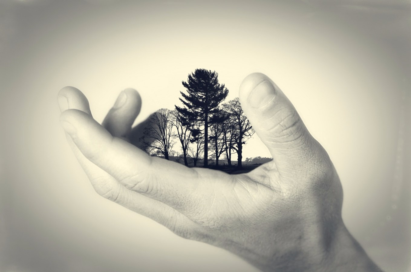 La Ville des Coteaux célèbre le mois de l'arbre et des forêts