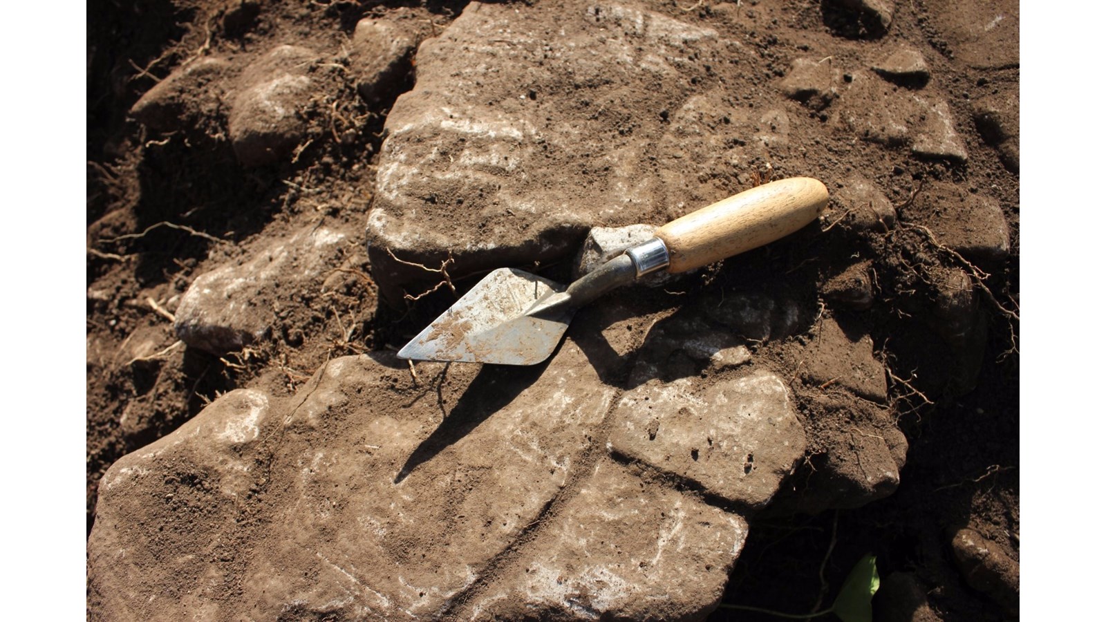 Le MUSO célèbre le mois de l'archéologie