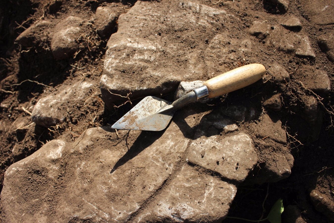 Le mois de l'archéologie, le mois des découvertes !
