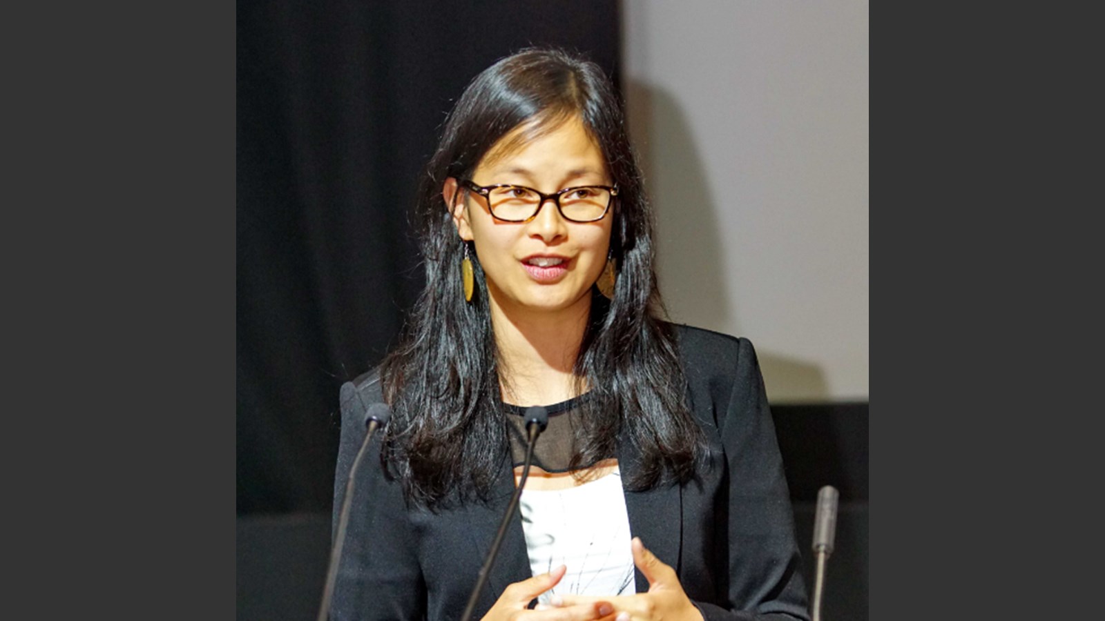Rentrée parlementaire : les travaux d’Anne Quach