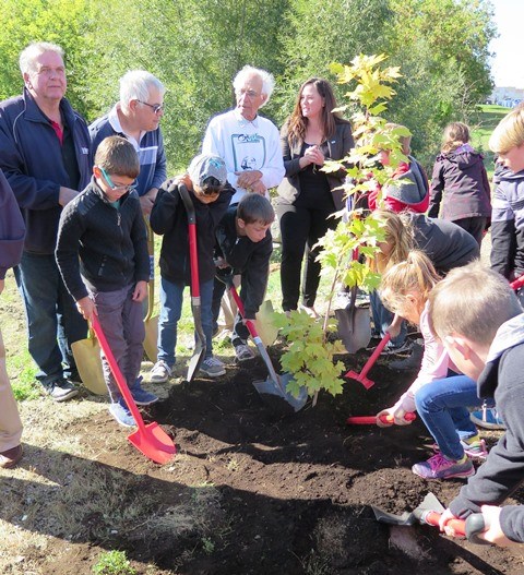 Naissance d'une forêt urbaine à Salaberry-de-Valleyfield 