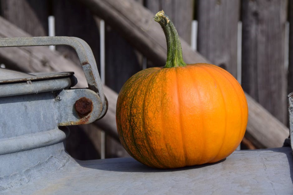 Donnez une deuxième vie à vos citrouilles